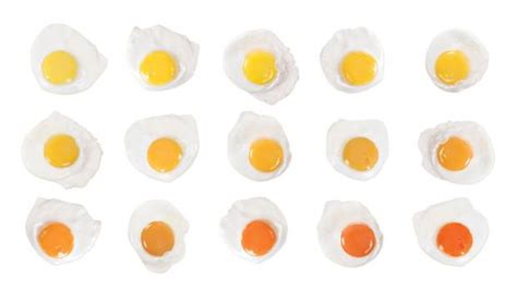 Double yolk meaning withrtaft